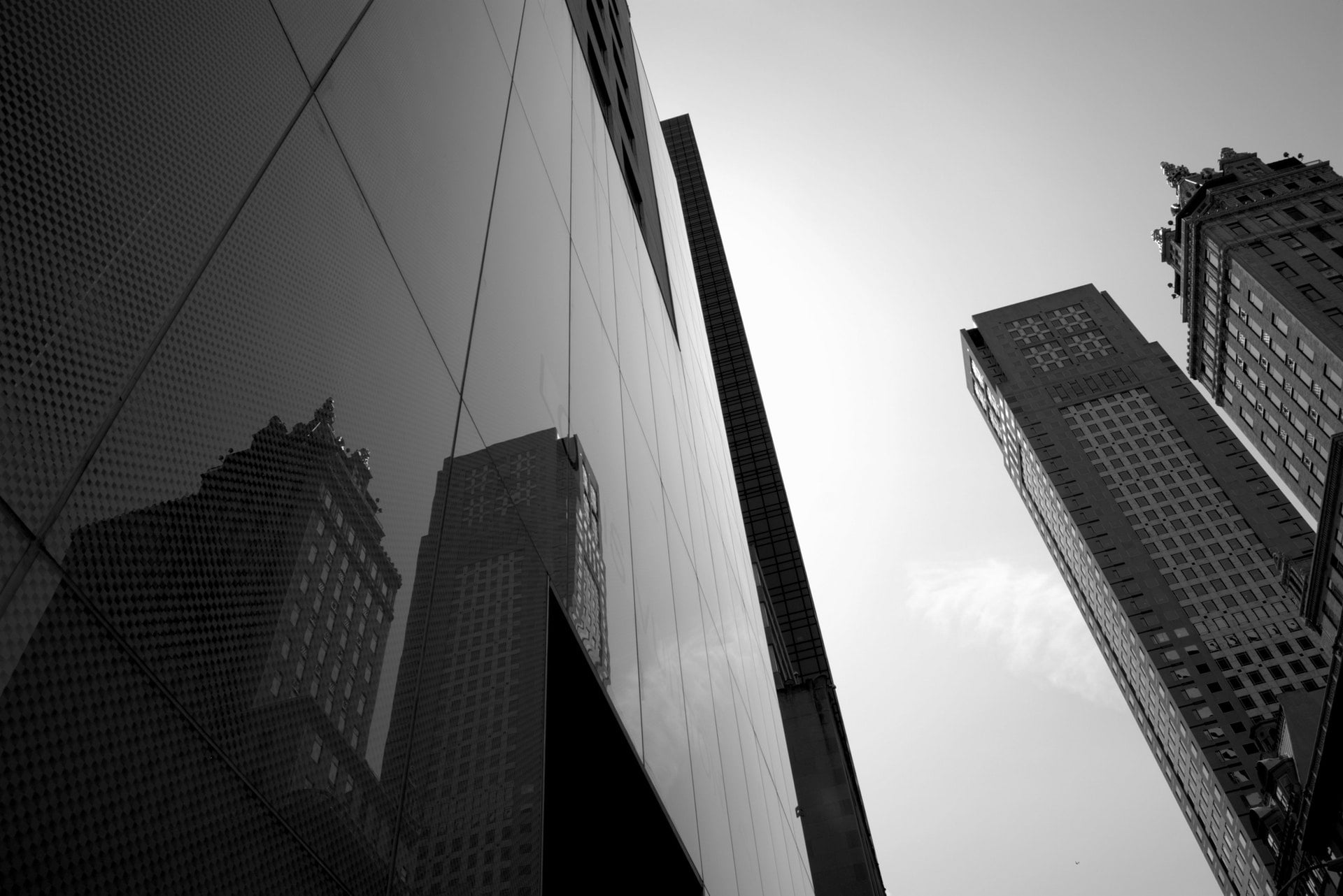 black and white office skyscrapers